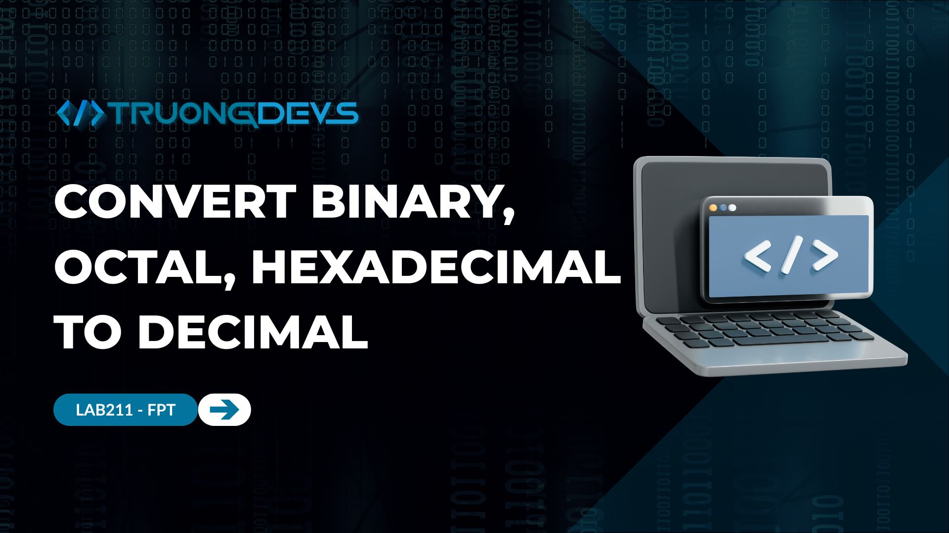 Giải Bài Convert Binary, Octal, Hexadecimal to Decimal – Java LAB211 FPT